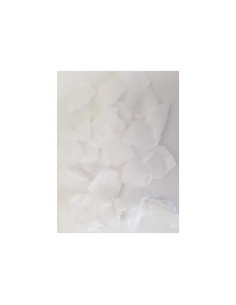 100 Pétalos  Color Blanco - Imagen 1